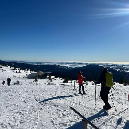 公寓 Horni Misecky *